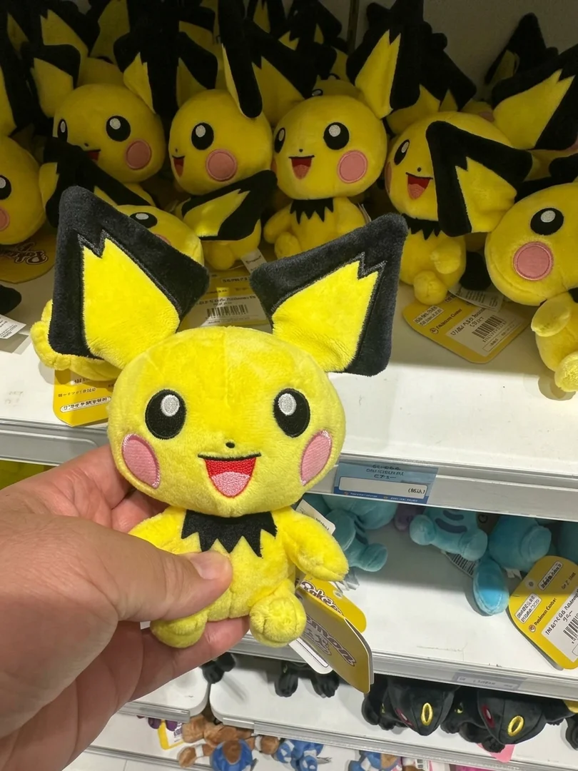 1/10 日本直送加拿大 #A